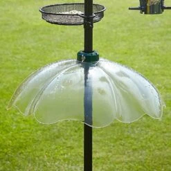 Tom Chambers Squirrel Baffle