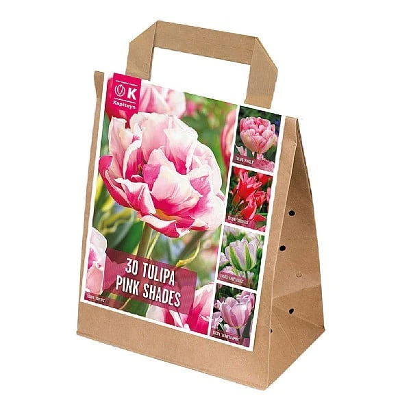 Pink Shades Assorted Tulips (30 Bulbs) 3 Pink Shades Assorted Tulips (30 Bulbs)