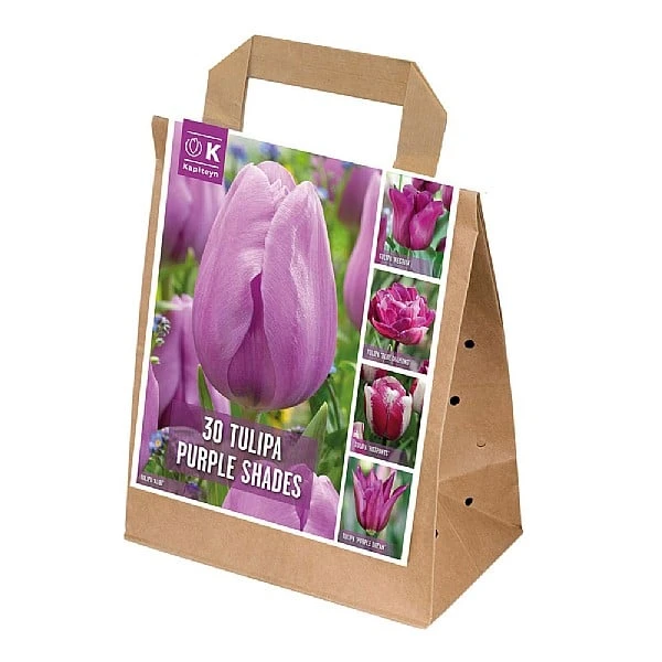 Violet Shades Assorted Tulips (30 Bulbs) 3 Violet Shades Assorted Tulips (30 Bulbs)