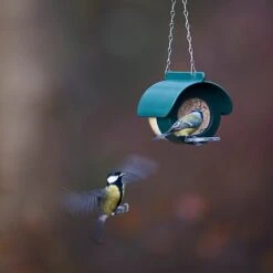 Jacobi Jayne Flutter Butter DeLuxe Feeder (For Pods Or Jars) -Roundupt Store 1153038 3