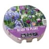 Bio Diversity Ready To Plant Tray 38cm (45 Bulbs) 2 Bio Diversity Ready To Plant Tray 38cm (45 Bulbs) -Roundupt Store 1160815