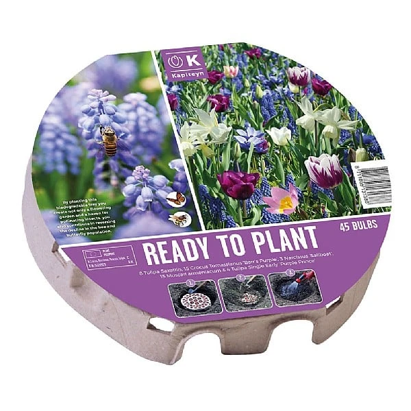 Bio Diversity Ready To Plant Tray 38cm (45 Bulbs) 3 Bio Diversity Ready To Plant Tray 38cm (45 Bulbs)