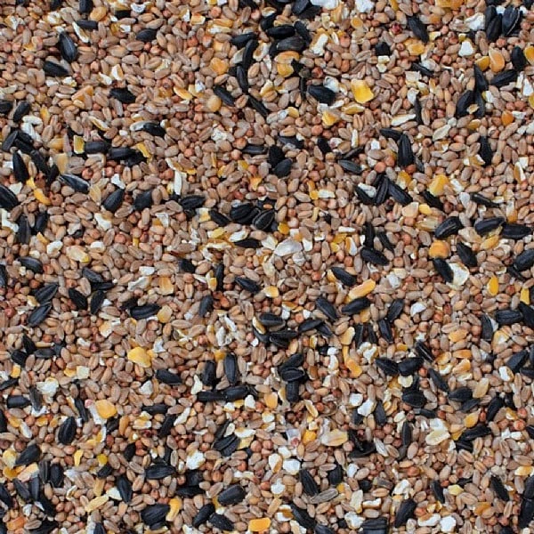 Henry Bell Superior Seed Mix For Wild Birds 12.55kg 4 Henry Bell Superior Seed Mix For Wild Birds 12.55kg - Image 2
