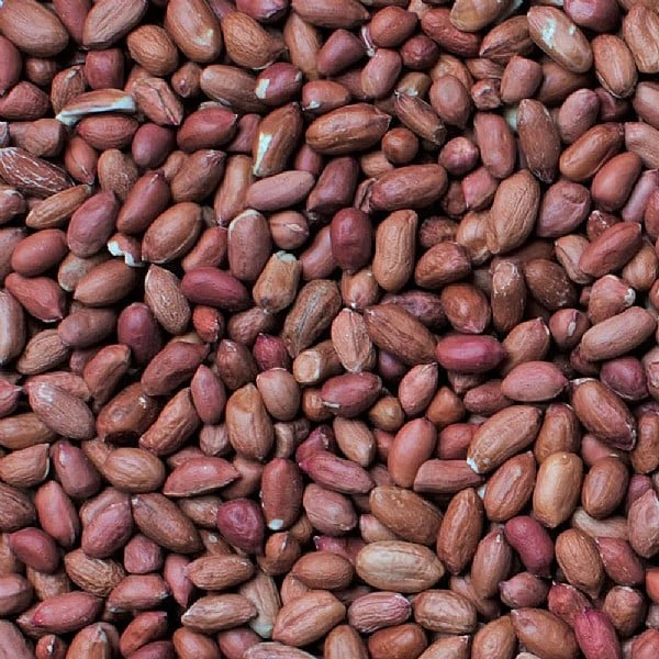 Henry Bell Peanuts For Wild Birds 12.55kg 6 Henry Bell Peanuts For Wild Birds 12.55kg - Image 4