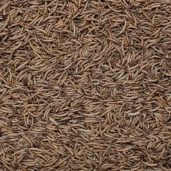 Henry Bell Mealworm For Wild Birds 1kg 9 Henry Bell Mealworm For Wild Birds 1kg -Roundupt Store 1161354 1