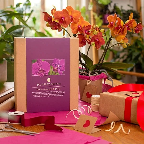 Plantsmith Orchid Care Gift Box Feed & Mist 6 Plantsmith Orchid Care Gift Box Feed & Mist - Image 4