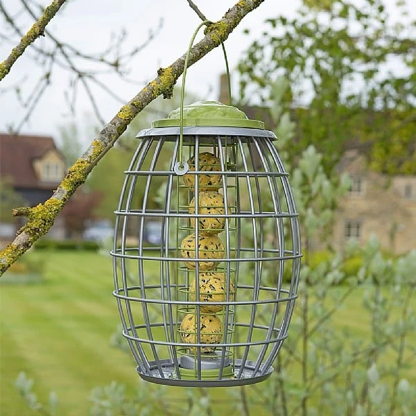 Chapelwood Ultra Squirrel Proof Suet Ball Feeder 4 Chapelwood Ultra Squirrel Proof Suet Ball Feeder - Image 2