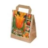 Tulipa Orange Shades (Bag Of 30) -Roundupt Store 1212231