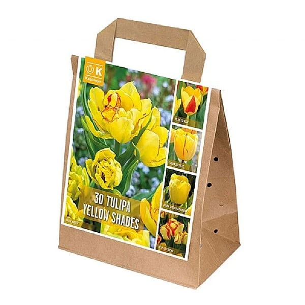 Tulipa Yellow Shades (Bag Of 30) 3 Tulipa Yellow Shades (Bag Of 30)