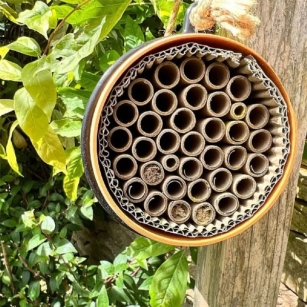 Wildlife World Eco Bee Nester 4 Wildlife World Eco Bee Nester - Image 2