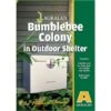 Agralan Bumble Bee Colony With Bee Coat 1 Agralan Bumble Bee Colony With Bee Coat -Roundupt Store 1222841