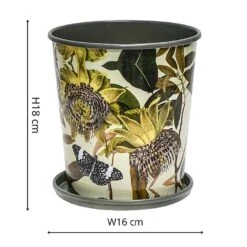 Kew Botanical Retreat Planter With Saucer 16cm -Roundupt Store 1227745 3
