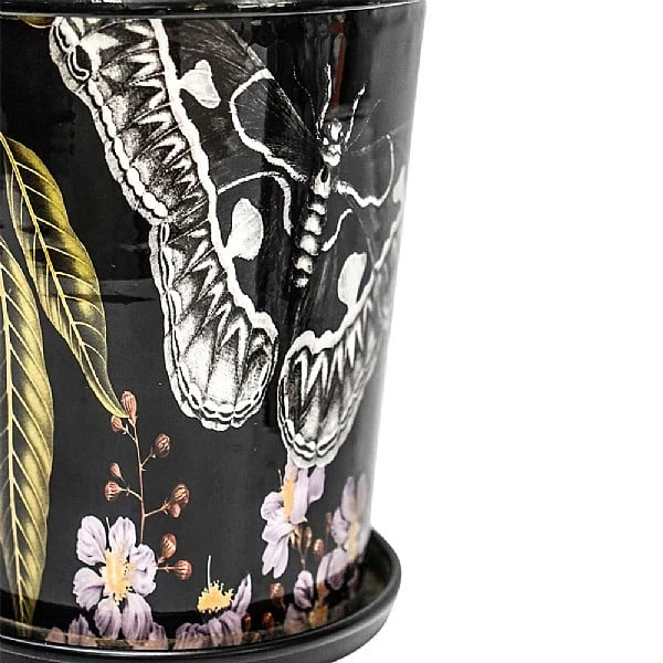 Kew Eclectic Orangery Planter With Saucer 14cm 4 Kew Eclectic Orangery Planter With Saucer 14cm - Image 2