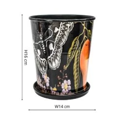 Kew Eclectic Orangery Planter With Saucer 14cm 8 Kew Eclectic Orangery Planter With Saucer 14cm -Roundupt Store 1227766 3