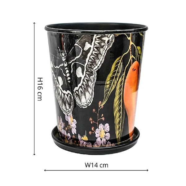 Kew Eclectic Orangery Planter With Saucer 14cm 5 Kew Eclectic Orangery Planter With Saucer 14cm - Image 3