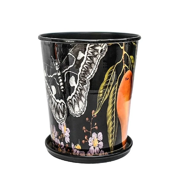 Kew Eclectic Orangery Planter With Saucer 16cm 3 Kew Eclectic Orangery Planter With Saucer 16cm