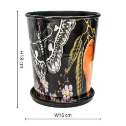 Kew Eclectic Orangery Planter With Saucer 16cm 8 Kew Eclectic Orangery Planter With Saucer 16cm -Roundupt Store 1227767 3