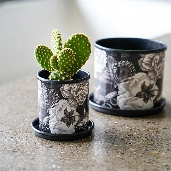 Kew Eclectic Orangery Noir Planter With Saucer 9cm 4 Kew Eclectic Orangery Noir Planter With Saucer 9cm - Image 2