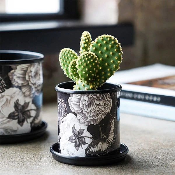 Kew Eclectic Orangery Noir Tall Planter With Saucer 13cm 5 Kew Eclectic Orangery Noir Tall Planter With Saucer 13cm - Image 3