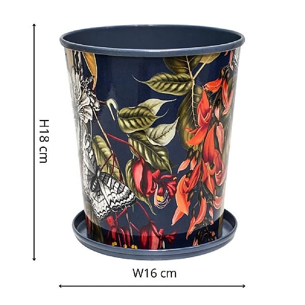 Kew Temperate House Planter With Saucer 16cm 6 Kew Temperate House Planter With Saucer 16cm - Image 4