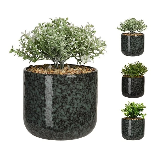 KOOPMAN Plant In Ceramic Pot 22cm (Assorted Designs) 3 KOOPMAN Plant In Ceramic Pot 22cm (Assorted Designs)