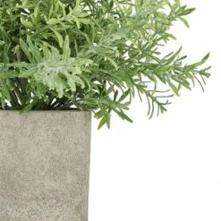 Rosemary Plant Stone Pot -Roundupt Store 1238867 1