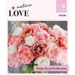 Bouquet Double Pastel Tulipa (30 Bulbs)