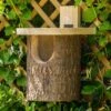 Wildlife World Natural Log Robin Nesting Box 2 Wildlife World Natural Log Robin Nesting Box -Roundupt Store 559002