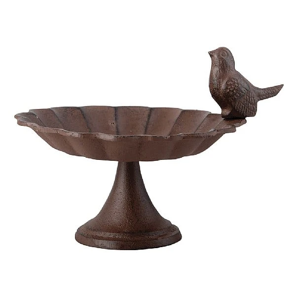 Fallen Fruits Bird Bath 1 Bird 3 Fallen Fruits Bird Bath 1 Bird