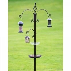 Tom Chambers Royale Bird Station 5 Tom Chambers Royale Bird Station -Roundupt Store 906776 1