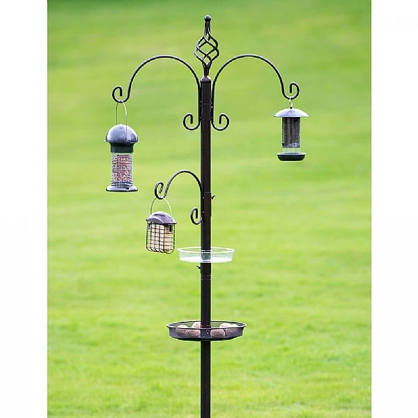 Tom Chambers Royale Bird Station 4 Tom Chambers Royale Bird Station - Image 2