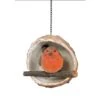 Vivid Arts Robin In A Coconut Bird Feeder 2 Vivid Arts Robin In A Coconut Bird Feeder -Roundupt Store 931666
