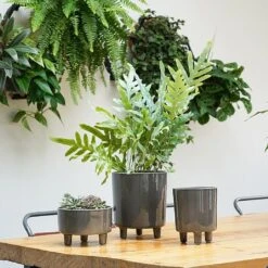 Ivyline Pisa Pot Cover Slate (Various Sizes) 5 Ivyline Pisa Pot Cover Slate (Various Sizes) -Roundupt Store IVPISAPOSL 2