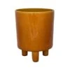 Ivyline Pisa Mustard Pot Cover (Various Sizes) 1 Ivyline Pisa Mustard Pot Cover (Various Sizes) -Roundupt Store PISAMUSTARD