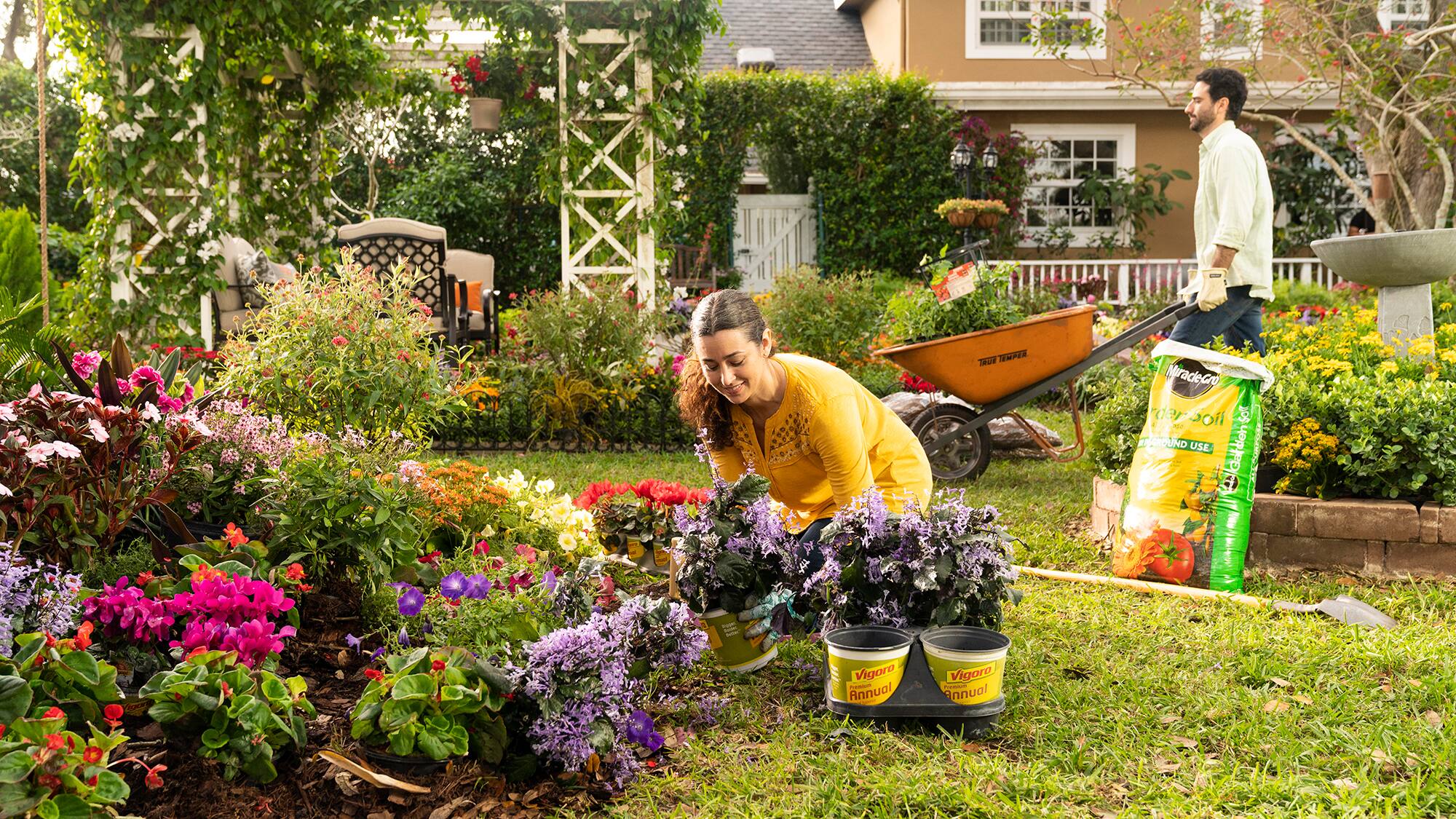 Roundupt Store 2 Roundupt Store -Roundupt Store 2020 SBF Shadow Shoot Garden crop 16 9