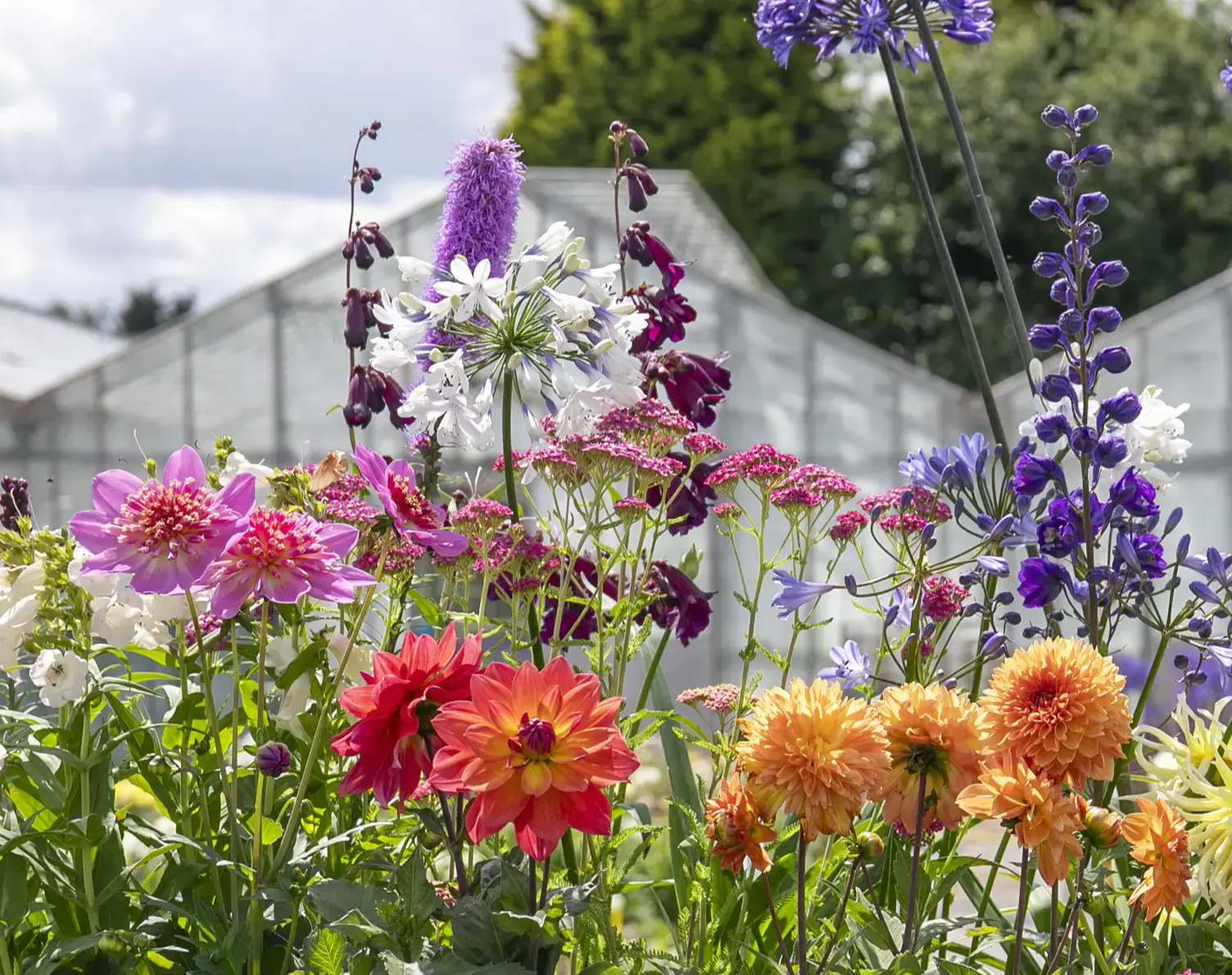 Roundupt Store 13 Roundupt Store -Roundupt Store download 1